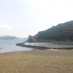 堤防からマゴチ