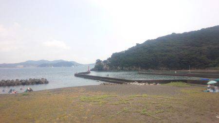 堤防からマゴチ