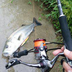 レンジエフェクト