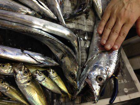 嫁さんも大満足の釣果