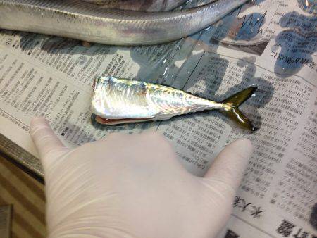 チビ太刀だらけ