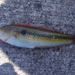 ファミリーで5目フィッシング♪