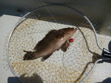 レンタルボート釣行