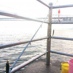 アジュール舞子でサビキ