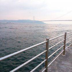 温泉裏でサビキ、のませ