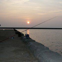 早朝から洲本港でキス狙い