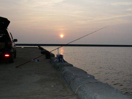 早朝から洲本港でキス狙い