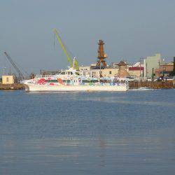 明石港へ釣行しました