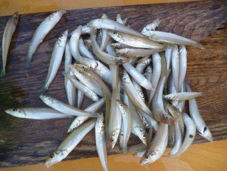 ファミリーキッシング