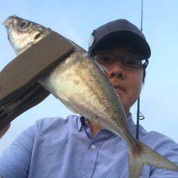 南風強・阪南アジング!