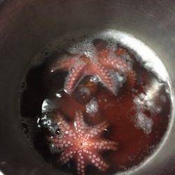 初めてでラストタコ船!