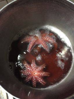 初めてでラストタコ船!