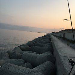 ワインドでサバ