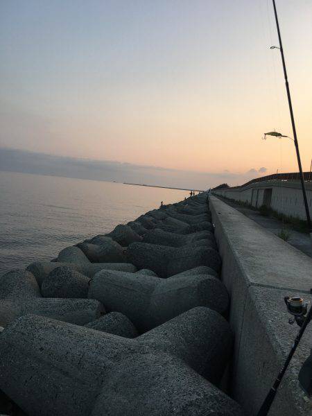 ワインドでサバ