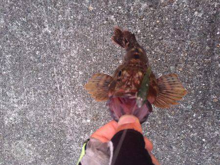 自作ワームでガシリング