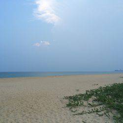 小さいながらもトップで