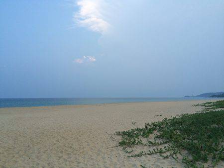 小さいながらもトップで