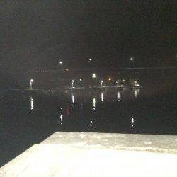 初！徳島アジング！