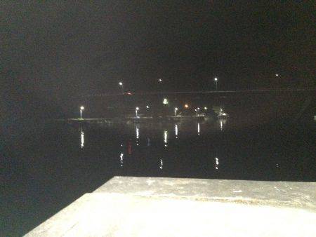 初！徳島アジング！