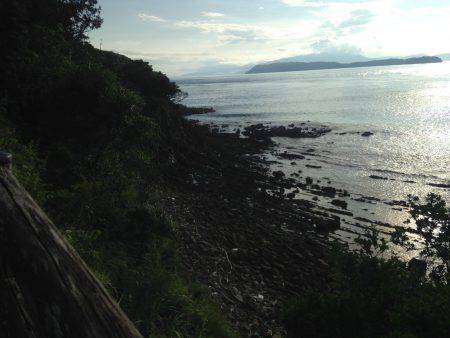 カマスしかいない