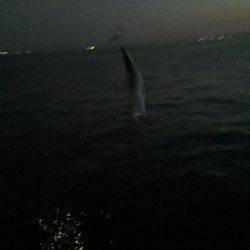 今年は少し時期が早いのか?