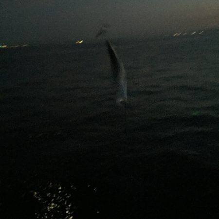 今年は少し時期が早いのか?