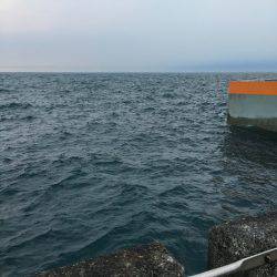 のんびり釣りの旅