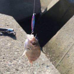 マイクロジギング