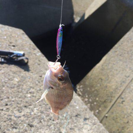 マイクロジギング