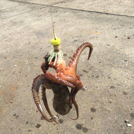 数が減りサイズが増える