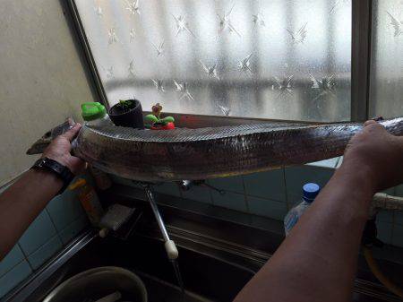 ショアジギング