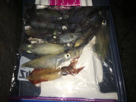 短時間で満足しました！