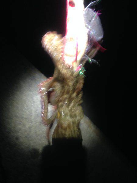 オクトパッシング