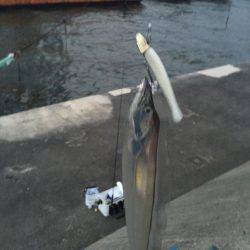 パーラダァイスでした（≧∇≦）