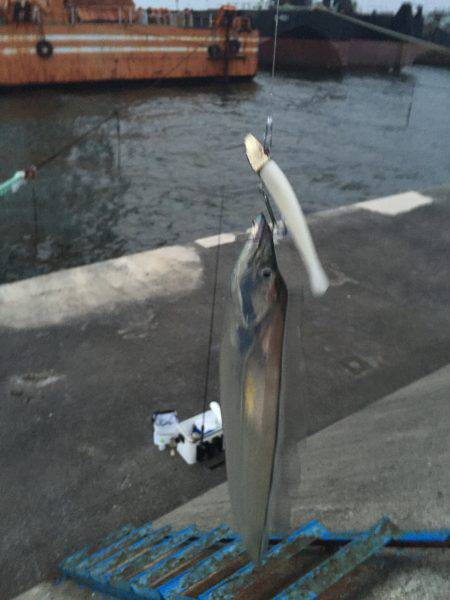 パーラダァイスでした（≧∇≦）