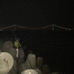 ライトエギング