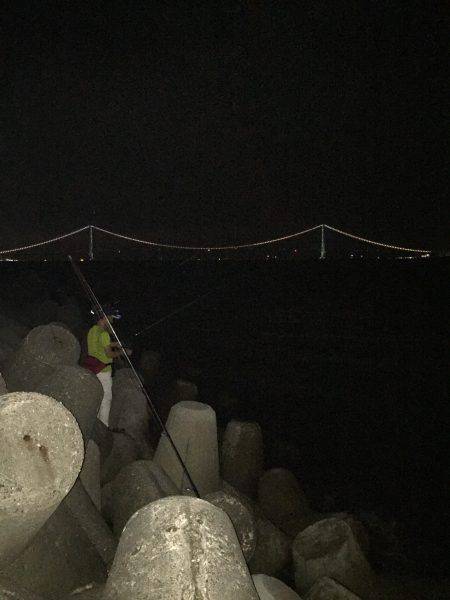 ライトエギング