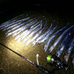 北港太刀魚‼︎