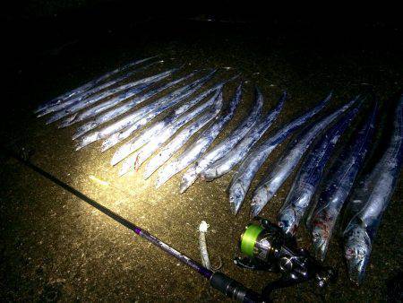 北港太刀魚‼︎