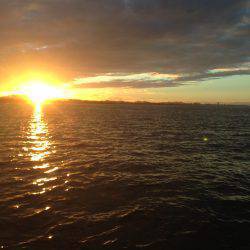 初船上タコ釣り