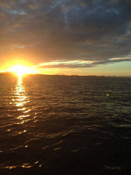 初船上タコ釣り