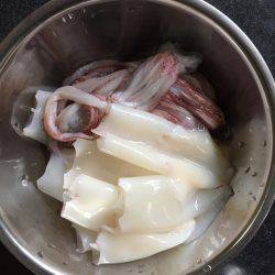 ケンサキイカ調査３回目