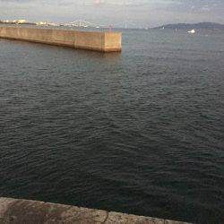 アジ×10〜15㎝×40匹