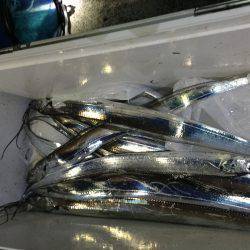 ただ巻きのほうが・・・