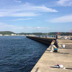 シイラ 8ヒット！