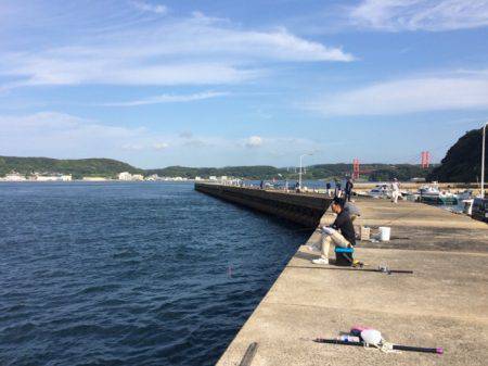 シイラ 8ヒット！