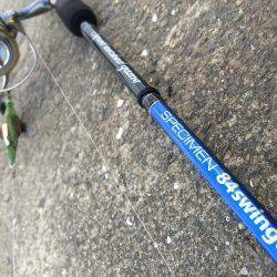 少しマシな新子