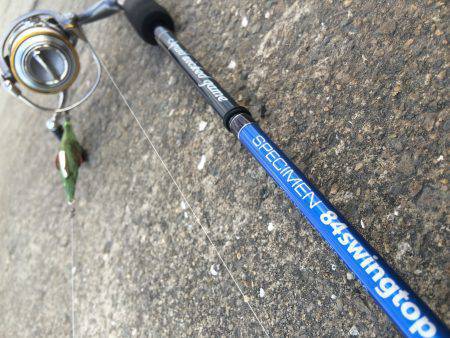 少しマシな新子