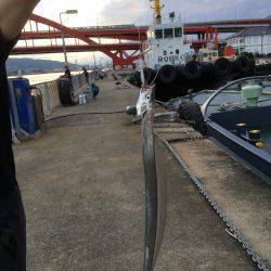 北公園にてタチウオ