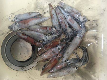 チョチョイと剣先。